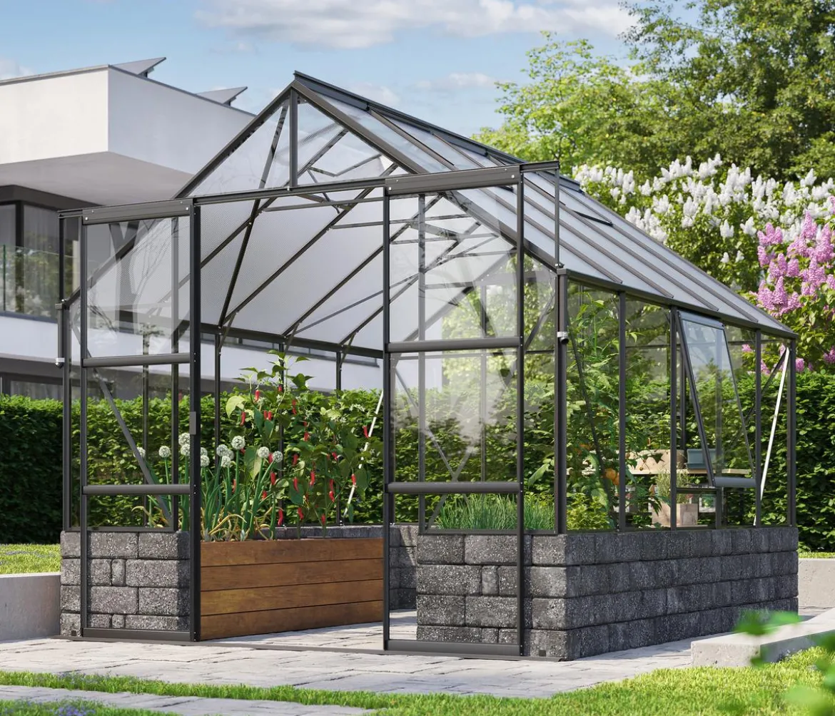Vitavia Gewächshaus Cassiopeia 8300 ESG/HKP, inkl. Sockelmauer Basalt