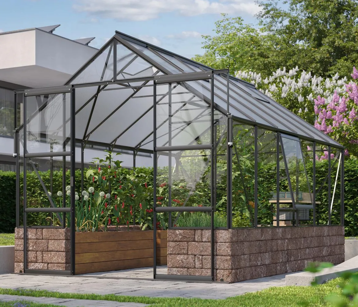 Vitavia Gewächshaus Cassiopeia 9900 ESG/HKP, inkl. Sockelmauer Herbstlaub
