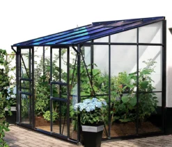 Vitavia Gewächshaus Iris 5200 ESG/HKP, ca. B262/H221/T201 cm