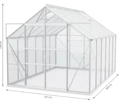 Vitavia Gewächshaus Neptun Plus 9900 HKP, inkl. Stahlfundamentrahmen, ca. B257/H238/T383 cm