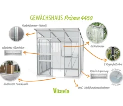 Vitavia Gewächshaus Prisma 4450 ESG/HKP, inkl. Stahlfundamentrahmen
