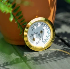 Vitavia Hygrometer