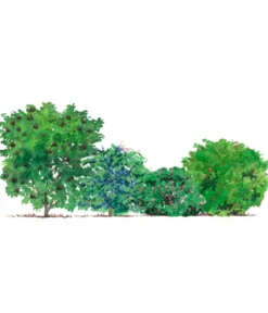 Vogelschutzhecke Fink, 4-teilig