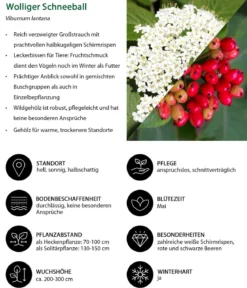 Vogelschutzhecke Stieglitz, 4-teilig