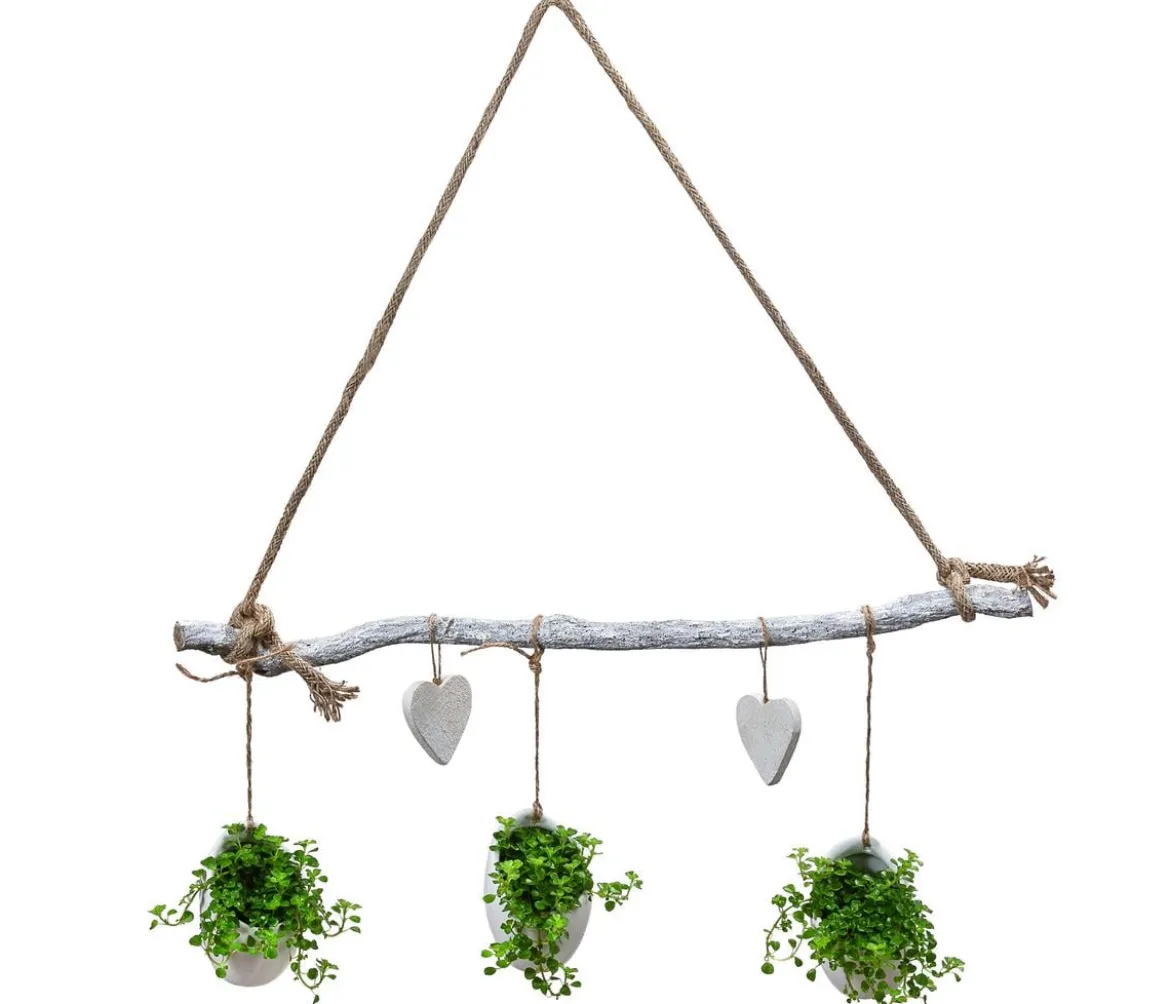 Wandhänger Herz mit Peperomie - Peperomia rotundifolia, weiß