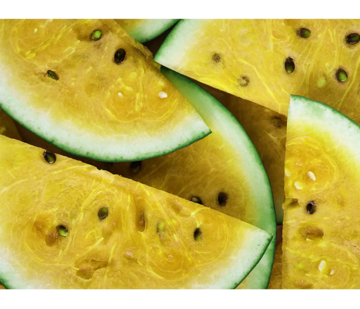Wassermelone, gelb