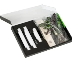 Waterplant-Set in Reagenzgläsern, 3-teilig