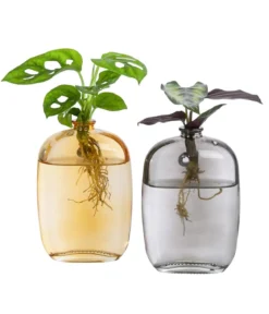 Waterplant-Set Wandhänger, 2-teilig