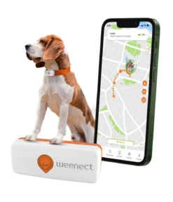Weenect XS GPS-Tracker für Hunde, ca. B6,05/H2,45/T1,5 cm