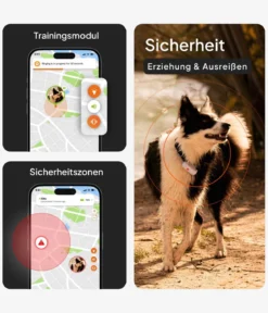 Weenect XS GPS-Tracker für Hunde, ca. B6,05/H2,45/T1,5 cm