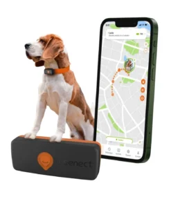 Weenect XS GPS-Tracker für Hunde, ca. B6,05/H2,45/T1,5 cm