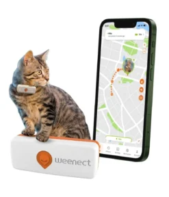 Weenect XS GPS-Tracker für Katzen, ca. B6,05/H2,45/T1,5 cm