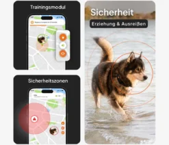 Weenect XT GPS-Tracker für Hunde inkl. JK9 Halsband