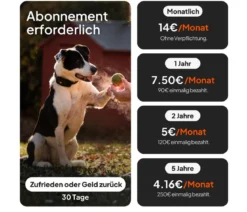 Weenect XT GPS-Tracker für Hunde