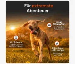 Weenect XT GPS-Tracker für Hunde
