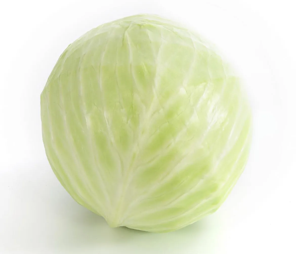 Weißkohl, 6er Schale