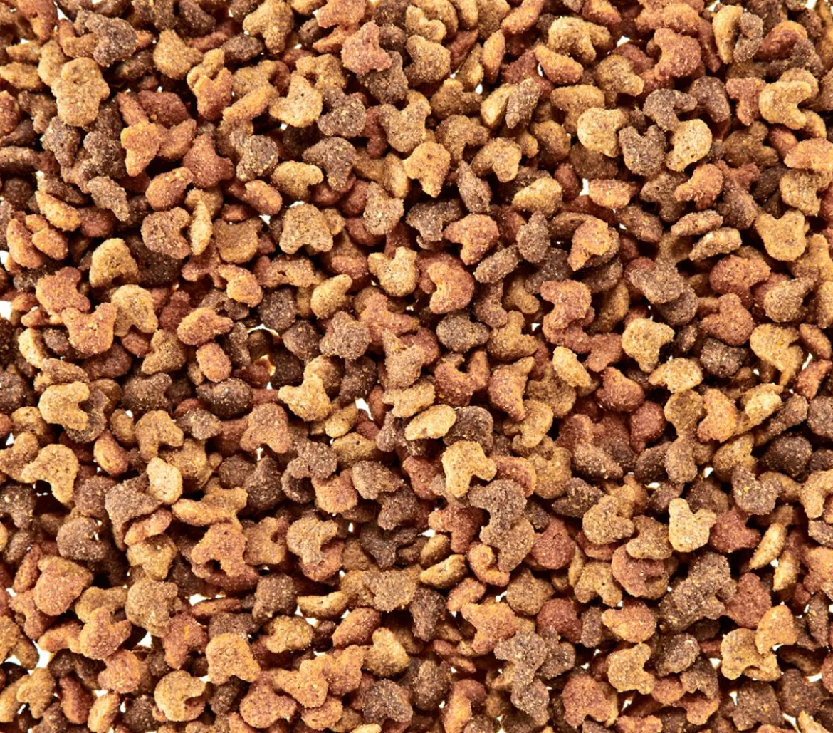 Whiskas® Katzensnack Crunch mit Huhn, Truthahn & Ente, 5 x 100 g