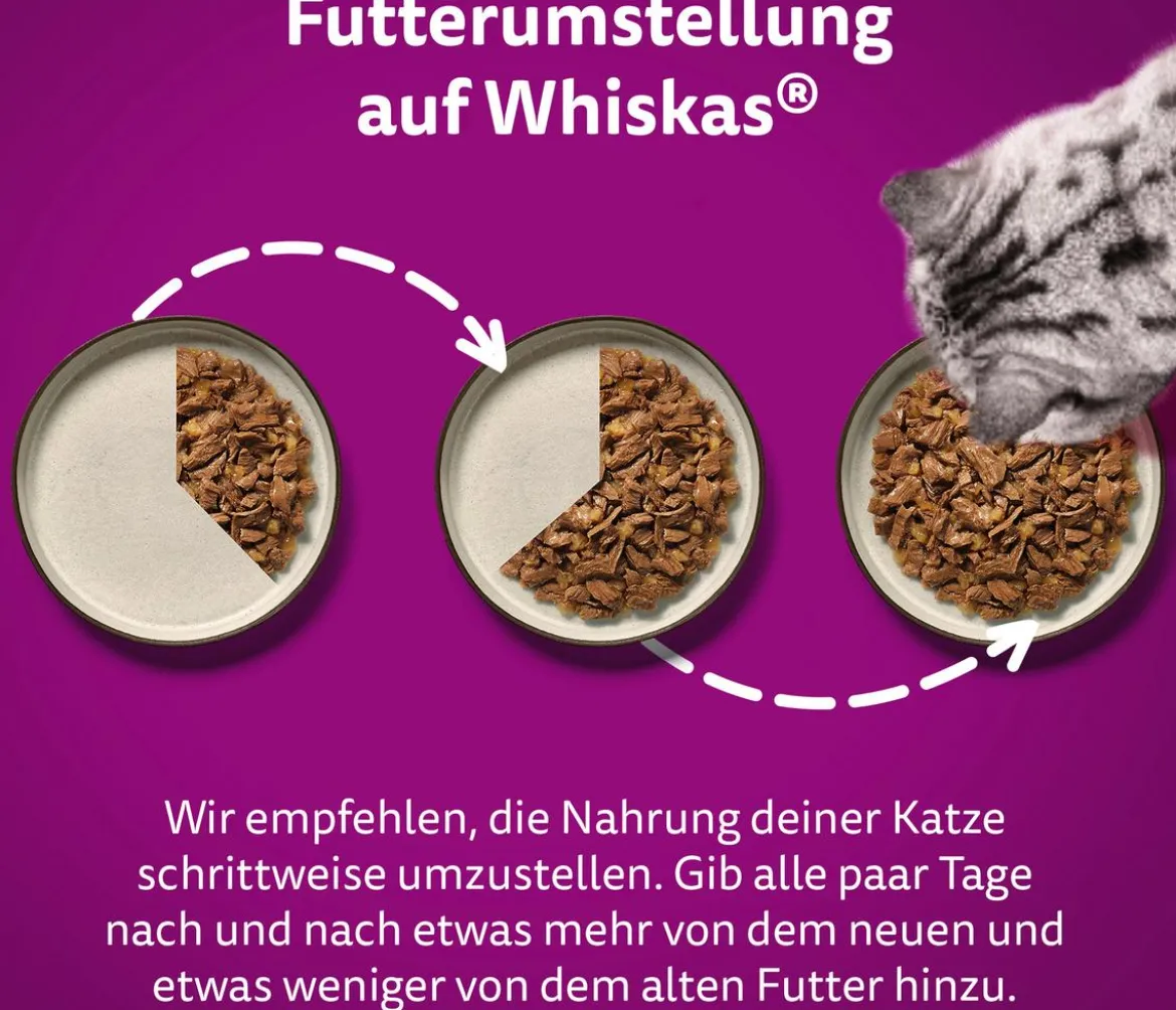 Whiskas® Nassfutter für Katzen Multipack Jumbo Klassische Auswahl in Sauce, Adult, 80 x 85 g