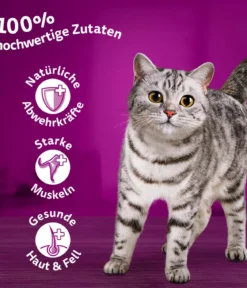 Whiskas® Nassfutter für Katzen Multipack Jumbo Klassische Auswahl in Sauce, Adult, 80 x 85 g