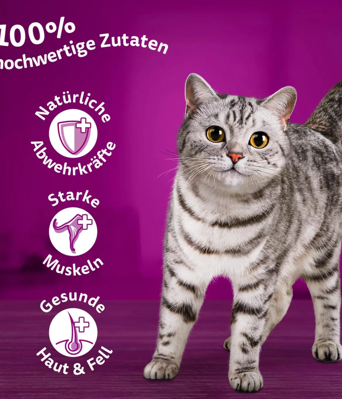 Whiskas® Nassfutter für Katzen Multipack Jumbo Klassische Auswahl in Sauce, Adult, 80 x 85 g