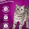 Whiskas® Nassfutter für Katzen Multipack Tasty Mix Fish of the day in Sauce, Adult, 12 x 85 g