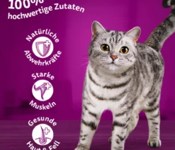 Whiskas® Nassfutter für Katzen Multipack Tasty Mix Fish of the day in Sauce, Adult, 12 x 85 g