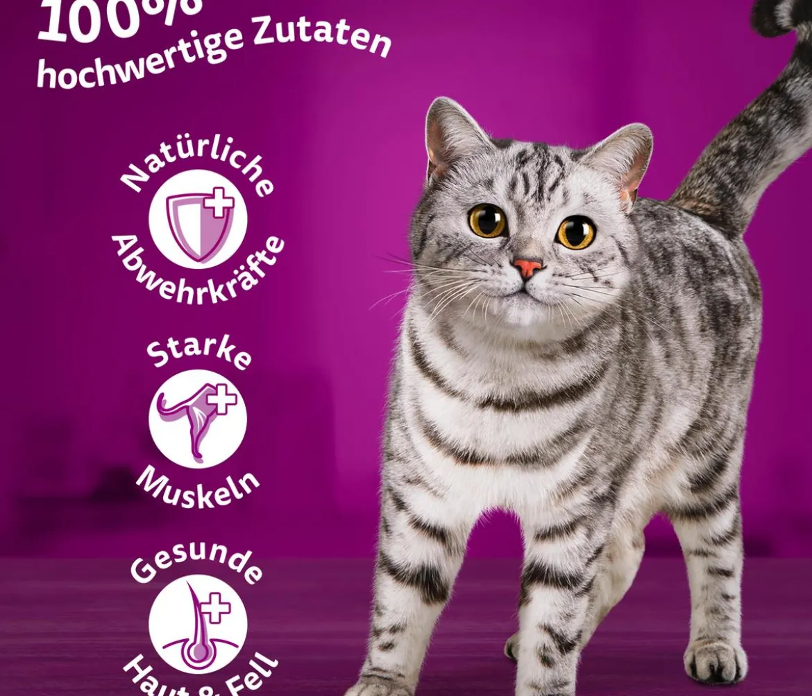 Whiskas® Nassfutter für Katzen Multipack Tasty Mix Fish of the day in Sauce, Adult, 12 x 85 g