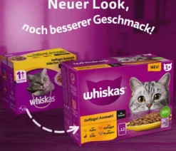 Whiskas® Nassfutter für Katzen Multipack Tasty Mix Fish of the day in Sauce, Adult, 12 x 85 g