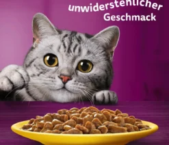 Whiskas® Nassfutter für Katzen Multipack Tasty Mix Fish of the day in Sauce, Adult, 12 x 85 g