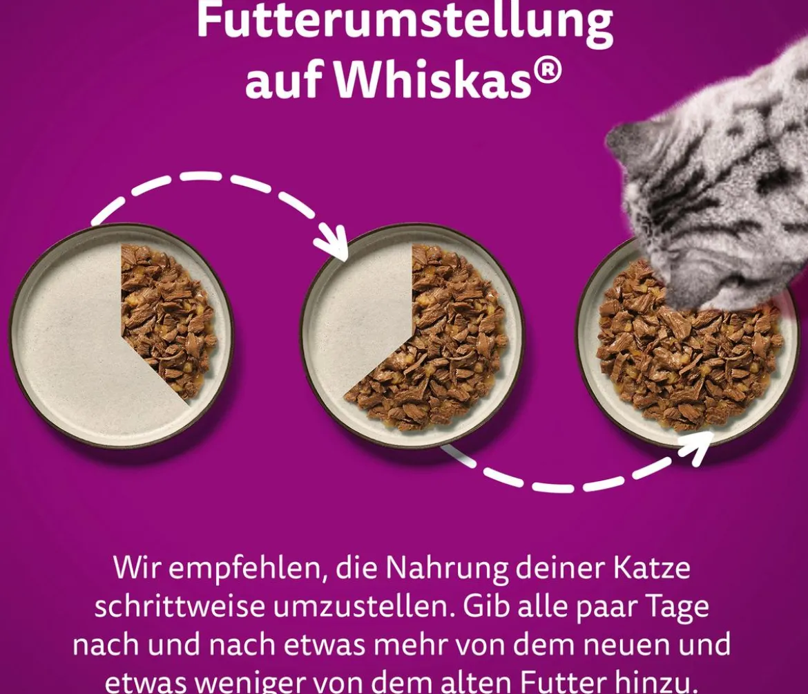 Whiskas® Nassfutter für Katzen Multipack Tasty Mix Fish of the day in Sauce, Adult, 12 x 85 g