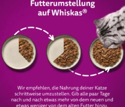 Whiskas® Nassfutter für Katzen Multipack Tasty Mix Chef's Choice in Sauce, Adult, 12 x 85 g