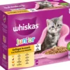 Whiskas® Nassfutter für Katzen Multipack Geflügel Auswahl in Gelee, Junior, 12 x 85 g