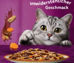 Whiskas® Nassfutter für Katzen Multipack Tasty Mix Country Collection in Sauce, Adult