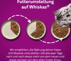 Whiskas® Nassfutter für Katzen Multipack Tasty Mix Country Collection in Sauce, Adult