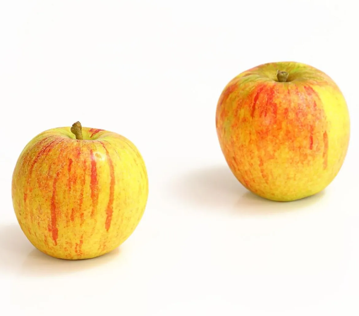 Winterapfel 'Cox Orange'