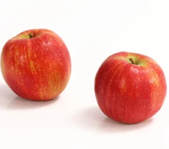Winterapfel 'Jonagold'
