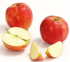 Winterapfel 'Jonagold'