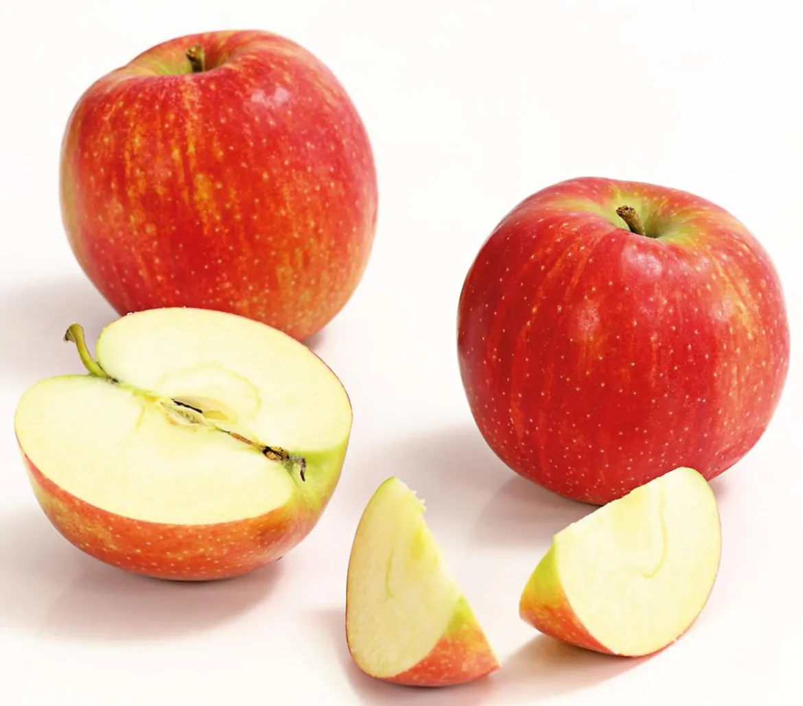 Winterapfel 'Jonagold'