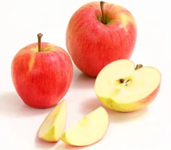 Winterapfel 'Pinova'
