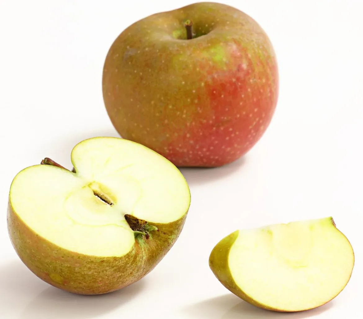 Winterapfel 'Roter Boskoop'