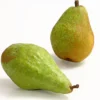 Winterbirne 'Novembra'