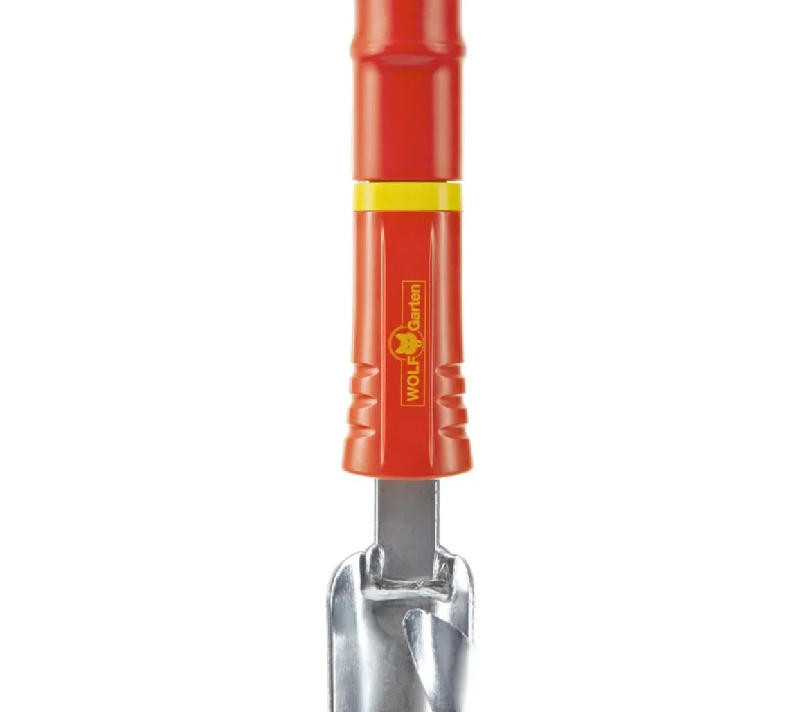 Wolf multi-star® Distelstecher iW-F