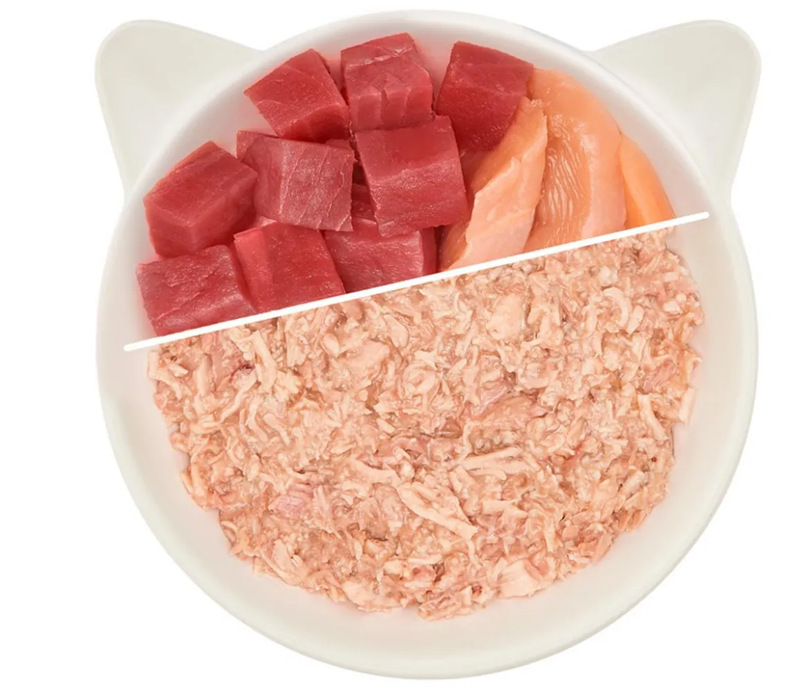 WOW® Cat Nassfutter für Katzen Premium Filets, Adult, 12 x 70 g