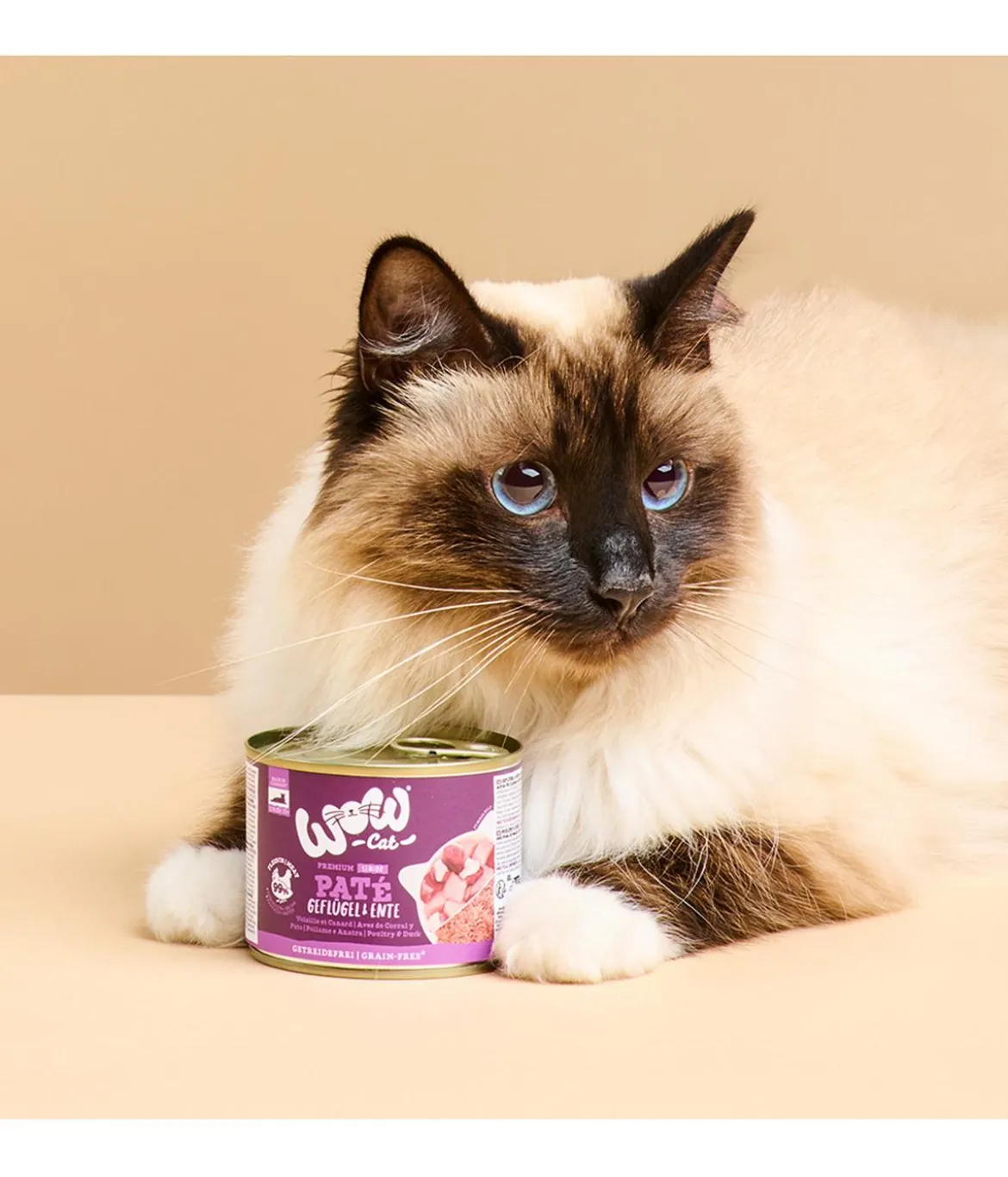 WOW® Cat Nassfutter für Katzen Premium Paté Senior, 6 x 200 g