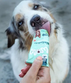 WOW® Hundesnack Bio Leberpaste, 80 g