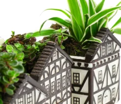Zimmerpflanzen-Set Fachwerk, 3-teilig