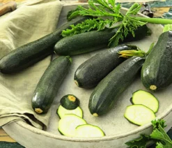 Zucchini, grün