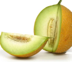 Zuckermelone 'Galia'
