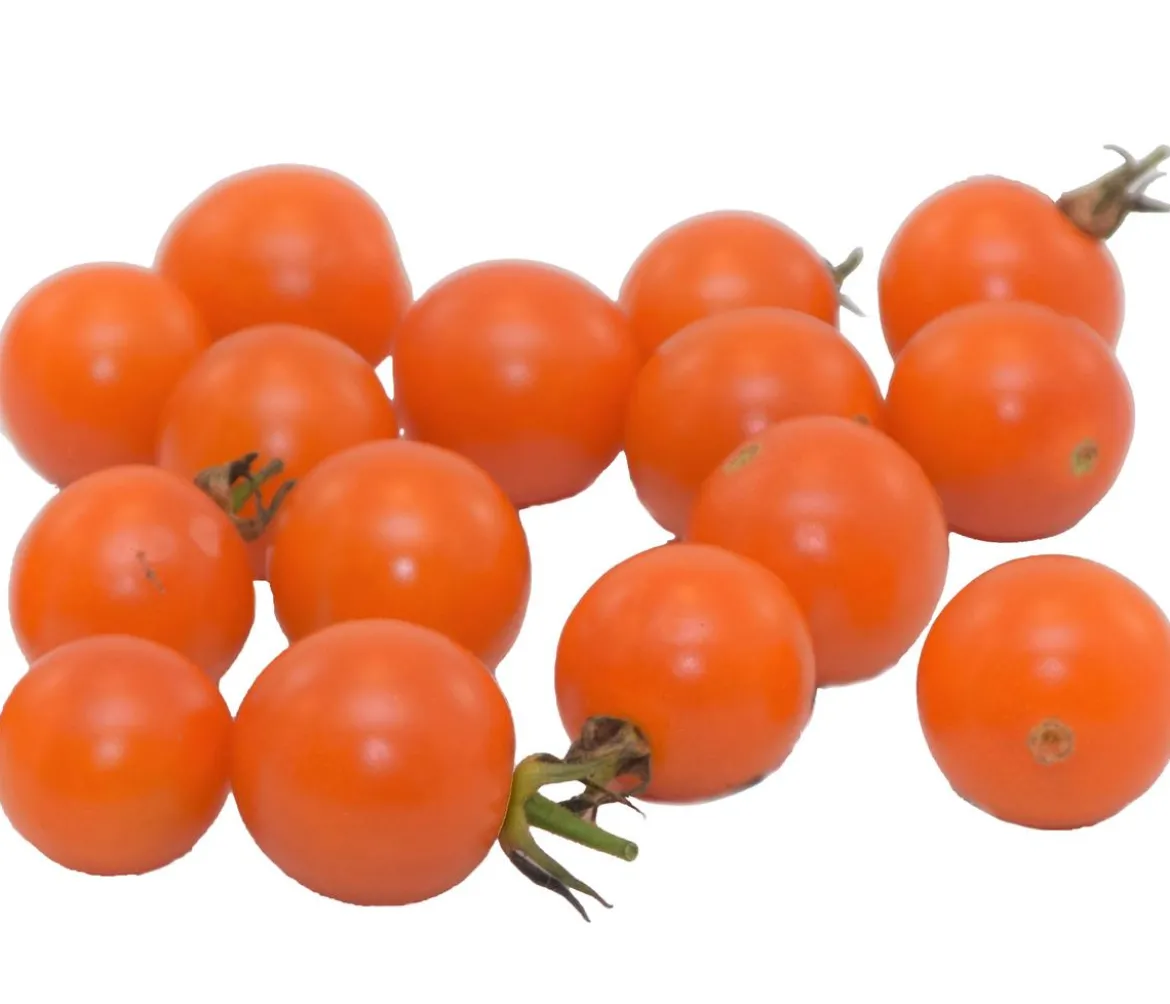 Zuckertomate, orange