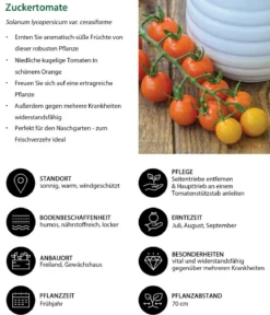 Zuckertomate, orange